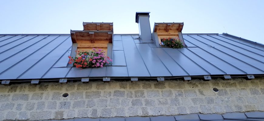 Roof Window Flowers Geranium  - efes / Pixabay