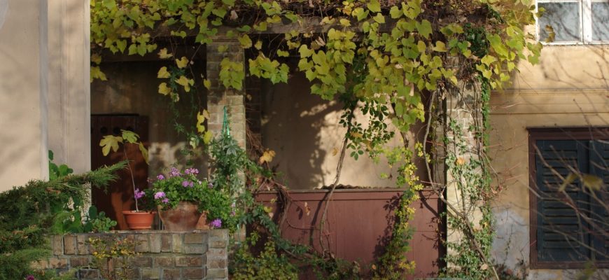 Garden Fall Pergola Building Mood  - emkanicepic / Pixabay