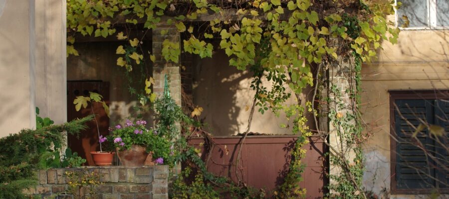 Garden Fall Pergola Building Mood  - emkanicepic / Pixabay