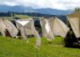 laundry, dry, hang, clothesline, drying, clothing, hanging laundry, dry laundry, washed, underwear, wash, garments, laundry, laundry, laundry, laundry, laundry, clothesline, clothing